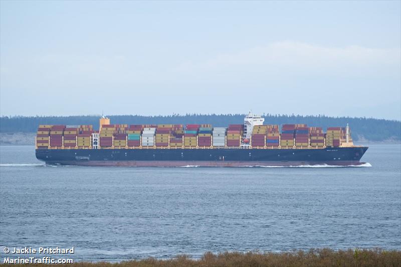 msc siya b (Container Ship) - IMO 9793947, MMSI 255806502, Call Sign CQEW3 under the flag of Madeira