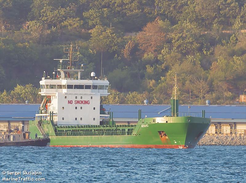 mermaid (General Cargo Ship) - IMO 9505156, MMSI 312819000, Call Sign V3WP8 under the flag of Belize