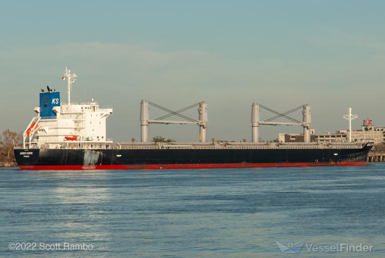 aries karin (Bulk Carrier) - IMO 9894478, MMSI 356250000, Call Sign H8TO under the flag of Panama