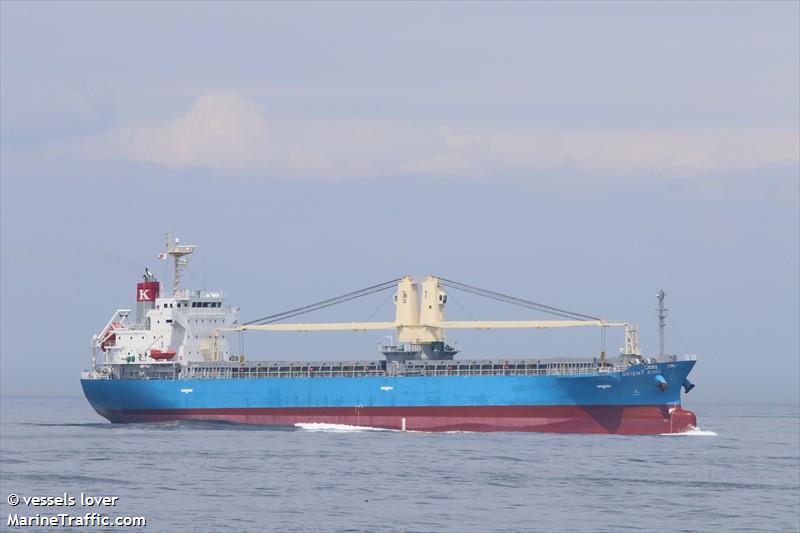 orient king (General Cargo Ship) - IMO 9883467, MMSI 370489000, Call Sign 3ELY9 under the flag of Panama