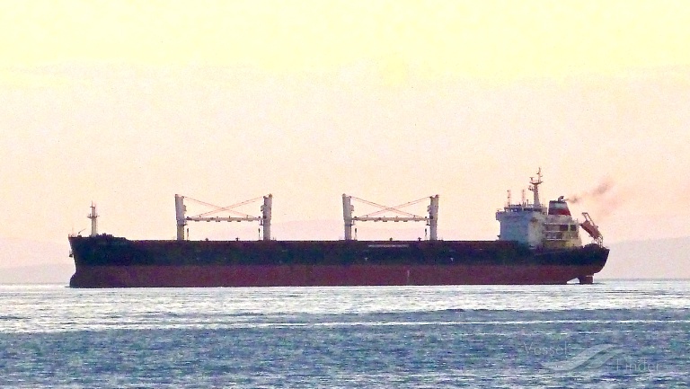 xiang cheng shan (Bulk Carrier) - IMO 9456410, MMSI 414501000, Call Sign BOOE8 under the flag of China