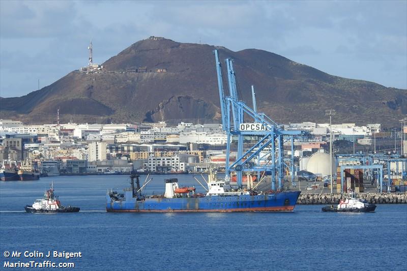 fredrikshamn (Fish Factory Ship) - IMO 8730132, MMSI 613003598, Call Sign TJMC54 under the flag of Cameroon