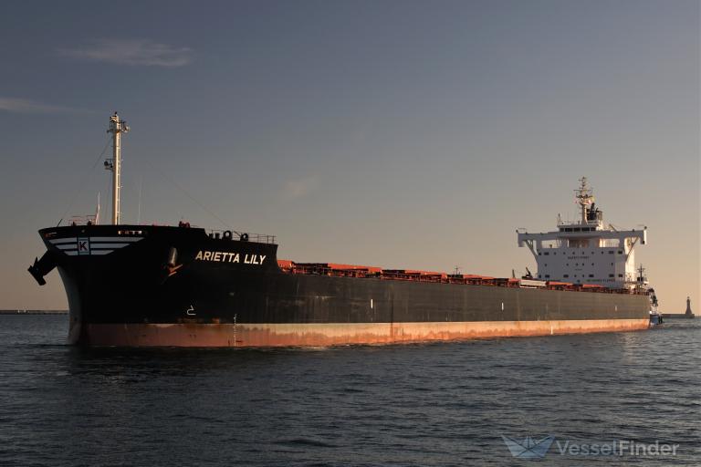 arietta lily (Bulk Carrier) - IMO 9727479, MMSI 636020267, Call Sign D5YK9 under the flag of Liberia