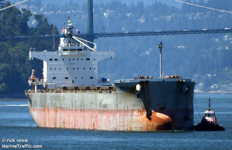 perseus (Bulk Carrier) - IMO 9544073, MMSI 636020427, Call Sign D5ZE8 under the flag of Liberia