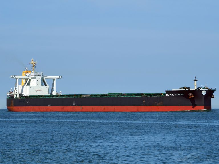 true courage (Bulk Carrier) - IMO 9750830, MMSI 636020479, Call Sign D5ZK6 under the flag of Liberia