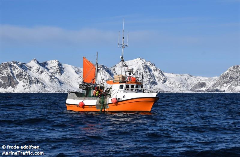 tjeldungen (Fishing vessel) - IMO , MMSI 257186520, Call Sign LM2120 under the flag of Norway