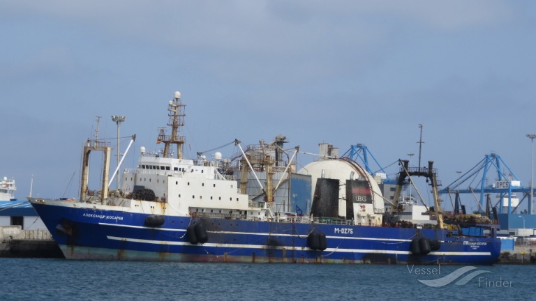 aleksandr kosarev (Fish Factory Ship) - IMO 8607153, MMSI 273526300, Call Sign UBXS under the flag of Russia