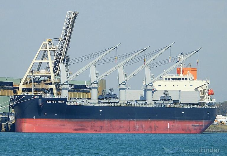 wattle tiger (General Cargo Ship) - IMO 9890276, MMSI 351292000, Call Sign 3EHK7 under the flag of Panama