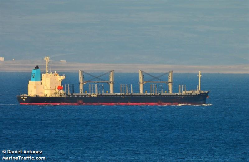 norse antwerp (Bulk Carrier) - IMO 9909663, MMSI 370152000, Call Sign H8RO under the flag of Panama