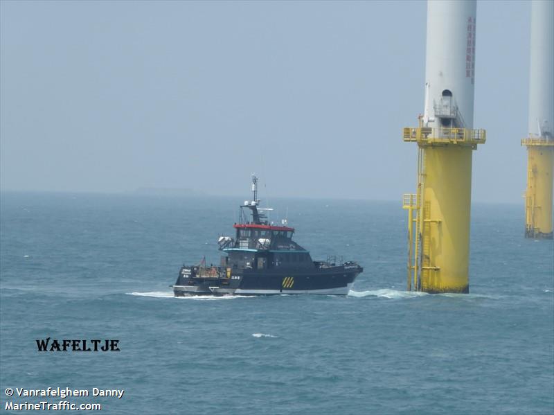 cwind phoenix (Passenger ship) - IMO , MMSI 416006678 under the flag of Taiwan