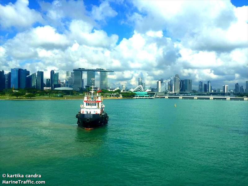 pioneer 3702 (Offshore Tug/Supply Ship) - IMO 9549114, MMSI 563570000, Call Sign 9V7861 under the flag of Singapore