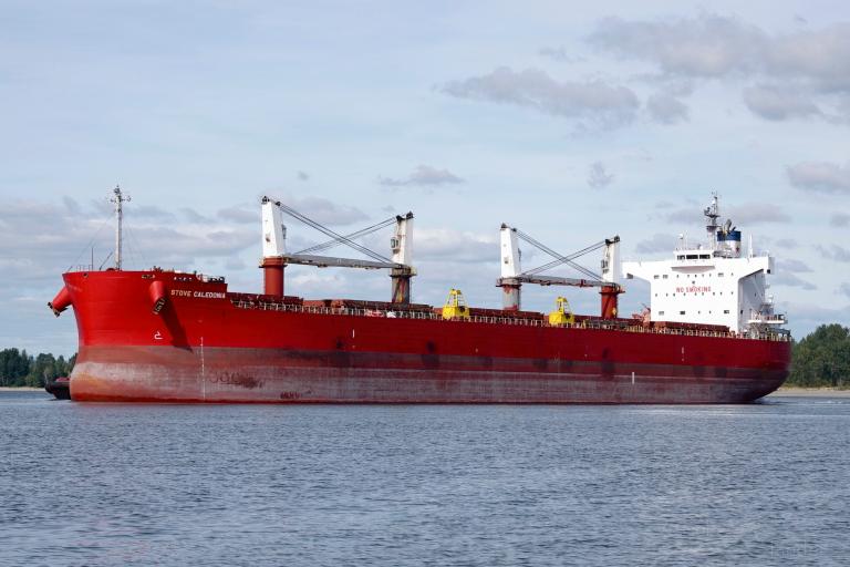 peace hope (Bulk Carrier) - IMO 9425954, MMSI 636020294, Call Sign D5YO3 under the flag of Liberia