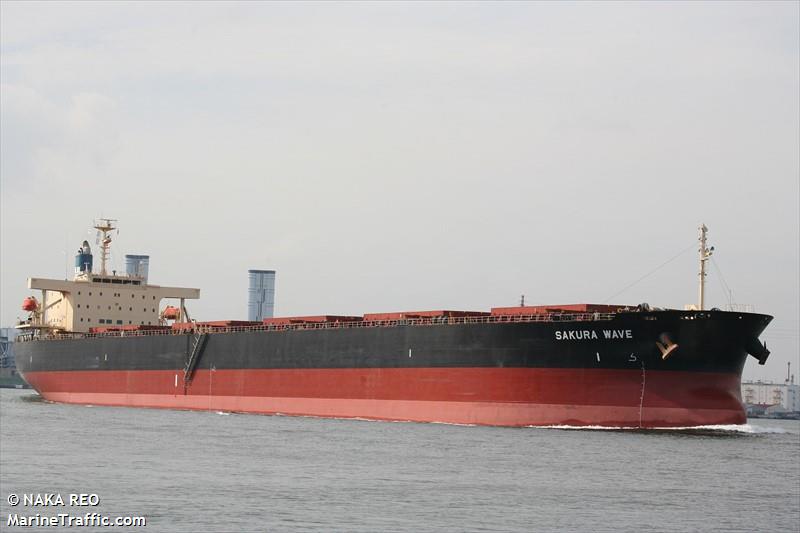 panopi (Bulk Carrier) - IMO 9554183, MMSI 636020601, Call Sign D5ZY6 under the flag of Liberia