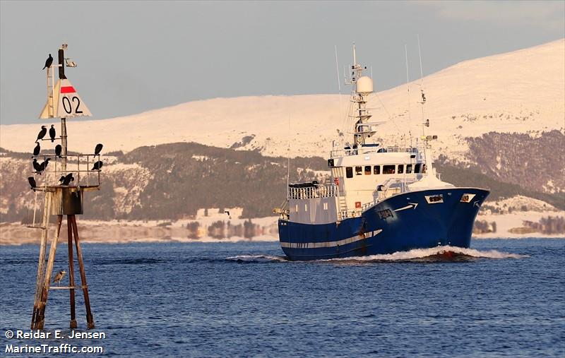 pison (Fishing Vessel) - IMO 8610693, MMSI 231857000, Call Sign OW2132 under the flag of Faeroe Islands