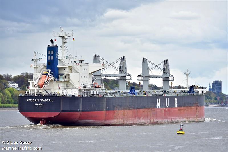 african wagtail (Bulk Carrier) - IMO 9649043, MMSI 311000154, Call Sign C6AU4 under the flag of Bahamas