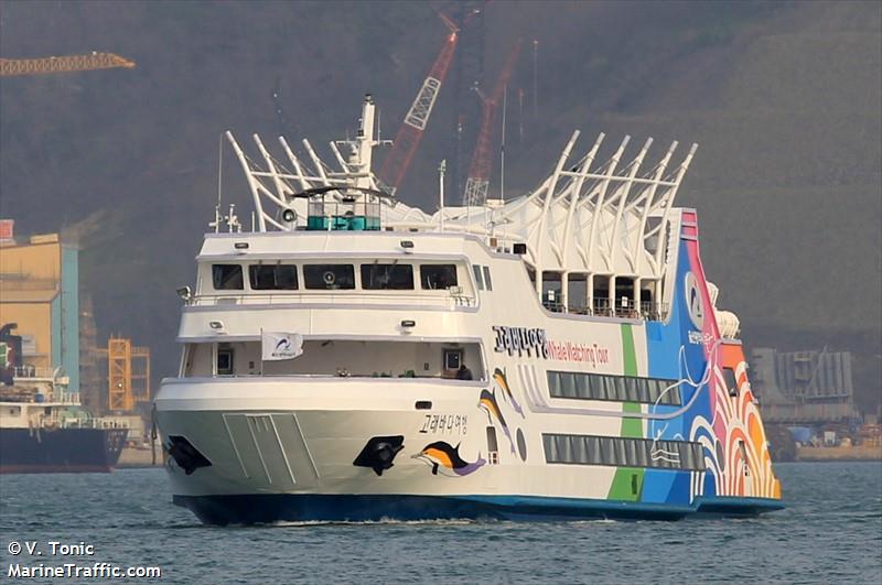 goraebadayeohaeng (Passenger ship) - IMO , MMSI 440706070, Call Sign 102184 under the flag of Korea