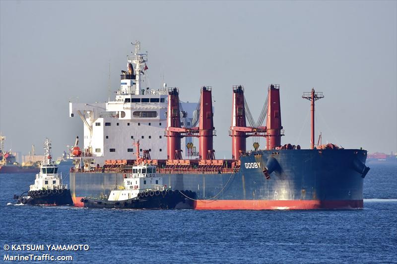 gooby (Bulk Carrier) - IMO 9596167, MMSI 538009316, Call Sign V7A4582 under the flag of Marshall Islands