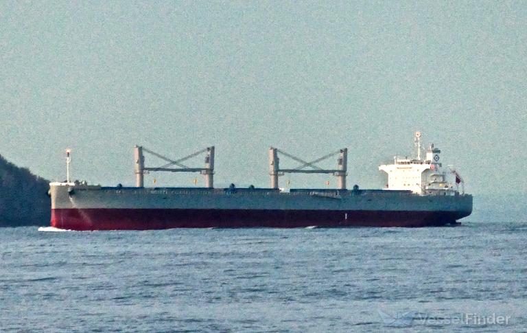 epson trader (Bulk Carrier) - IMO 9872963, MMSI 548704000, Call Sign DYEU under the flag of Philippines
