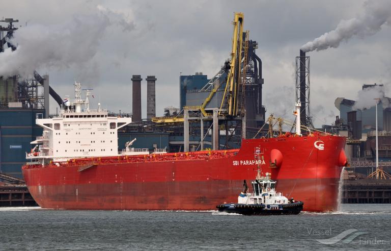 wadi almalekat (Bulk Carrier) - IMO 9763904, MMSI 622121428, Call Sign 6BDL under the flag of Egypt