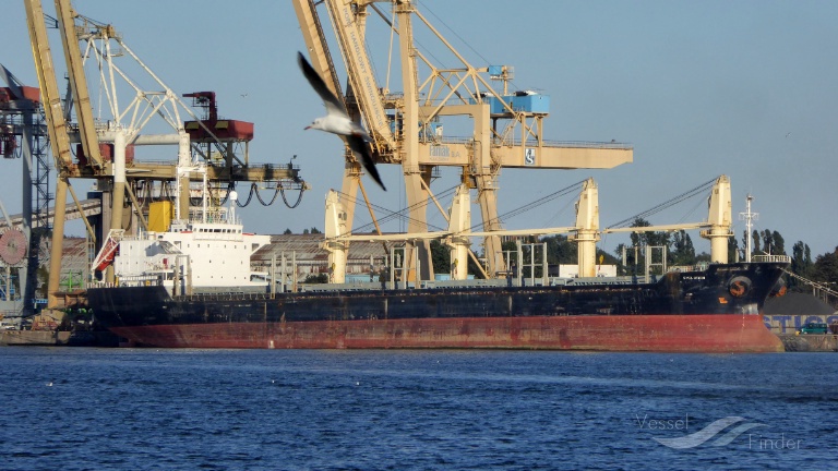 evolution (Bulk Carrier) - IMO 9122899, MMSI 636016732, Call Sign D5HM9 under the flag of Liberia