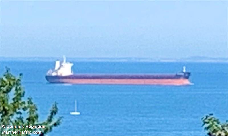 true champion (Bulk Carrier) - IMO 9403528, MMSI 636020478, Call Sign D5ZK5 under the flag of Liberia