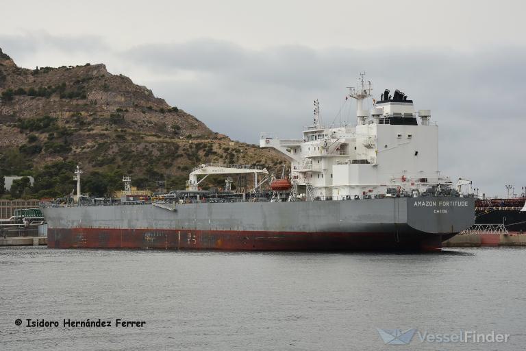 amazon fortitude (Crude Oil Tanker) - IMO 9820544, MMSI 241740000, Call Sign SVDL3 under the flag of Greece