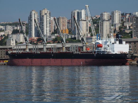 true faith (Bulk Carrier) - IMO 9191034, MMSI 312548000, Call Sign V3ZS3 under the flag of Belize