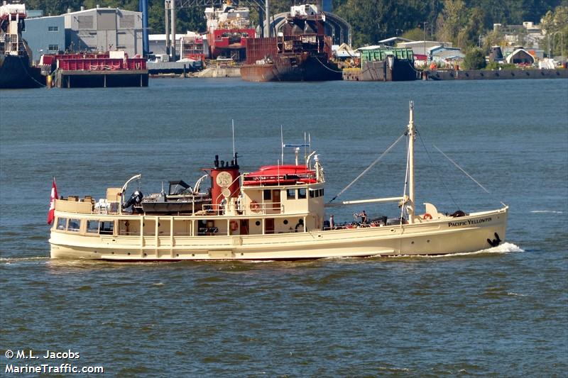 pacific yellowfin (Passenger ship) - IMO , MMSI 316002294, Call Sign CFG7321 under the flag of Canada