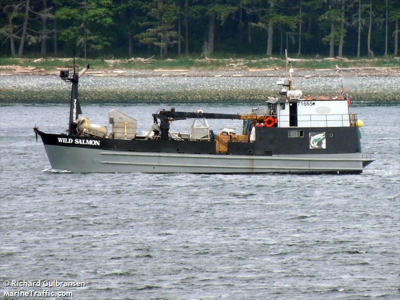 wild salmon (Fishing vessel) - IMO , MMSI 367116310, Call Sign WDD2516 under the flag of United States (USA)