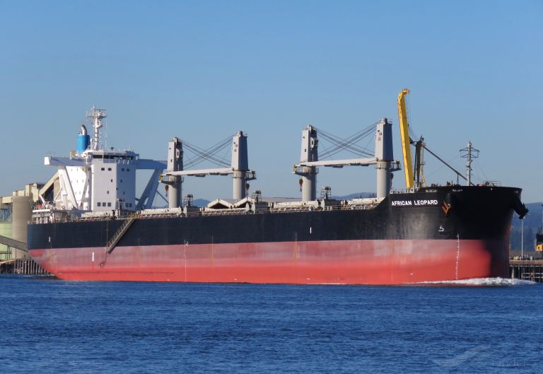 african leopard (Bulk Carrier) - IMO 9767572, MMSI 374880000, Call Sign 3FQB4 under the flag of Panama