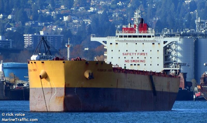 flourish power (Bulk Carrier) - IMO 9631266, MMSI 477817300, Call Sign VRJS8 under the flag of Hong Kong