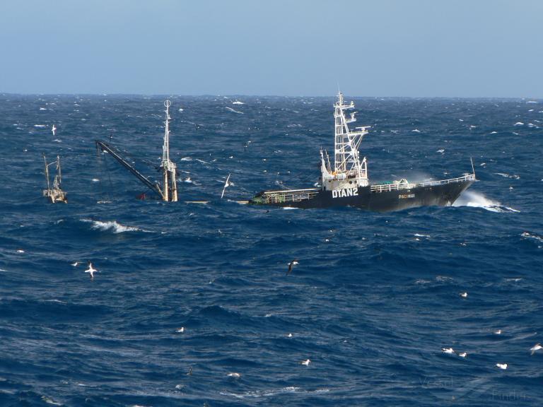 pacinui (Fishing Vessel) - IMO 8319770, MMSI 512430000, Call Sign ZMJL under the flag of New Zealand