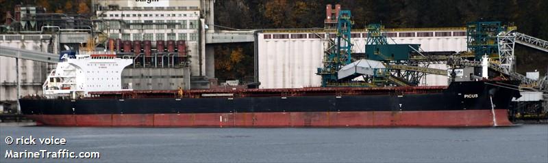 picus (Bulk Carrier) - IMO 9568574, MMSI 563127100, Call Sign 9V7048 under the flag of Singapore