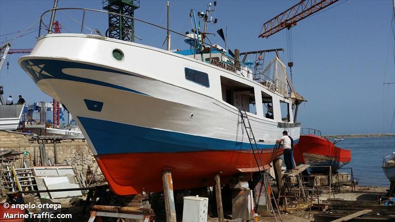 andrea doria (Fishing vessel) - IMO , MMSI 247146240, Call Sign ITIQ under the flag of Italy