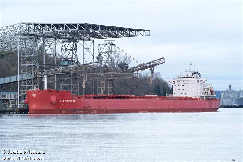 andonis (Bulk Carrier) - IMO 9763916, MMSI 255806474, Call Sign CQES7 under the flag of Madeira