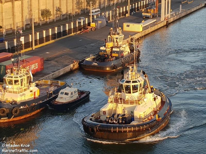 svitzer maimon (Tug) - IMO 9760823, MMSI 327801009, Call Sign HIAA36 under the flag of Dominican Rep