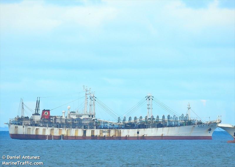 her wen no 1 (Fish Carrier) - IMO 8680442, MMSI 416542000, Call Sign BEOZ under the flag of Taiwan