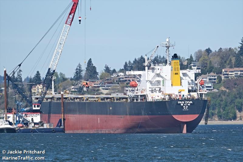 pan diva (Bulk Carrier) - IMO 9304186, MMSI 441215000, Call Sign D7BI under the flag of Korea