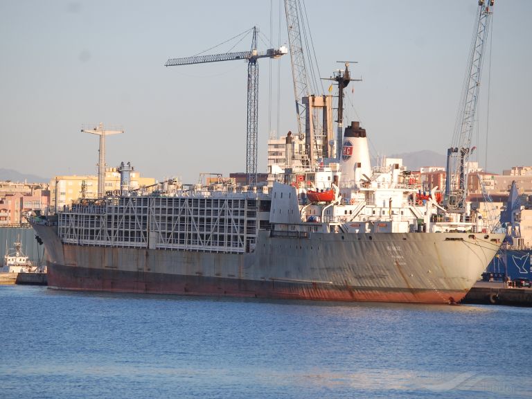 enoz (Livestock Carrier) - IMO 7022356, MMSI 511100439, Call Sign T8A3586 under the flag of Palau