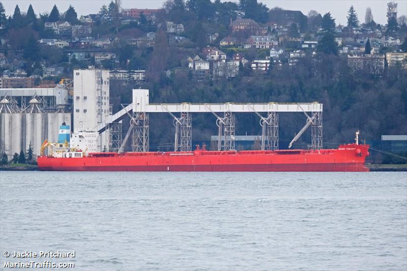 magic twilight (Bulk Carrier) - IMO 9545285, MMSI 538009348, Call Sign V7A4624 under the flag of Marshall Islands