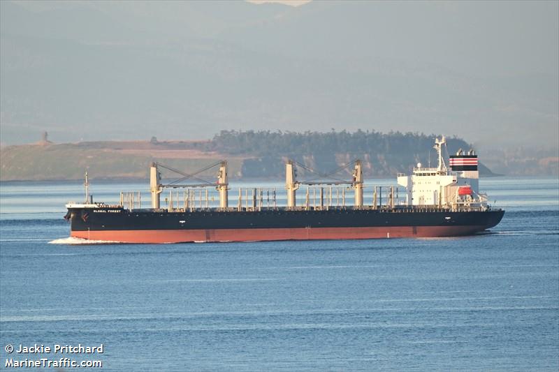 global forest (Bulk Carrier) - IMO 9883728, MMSI 636020502, Call Sign D5ZM5 under the flag of Liberia
