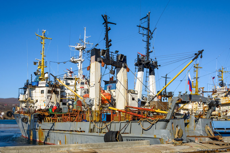 kalinovsk (Fishing Vessel) - IMO 7832323, MMSI 273824900, Call Sign UEXQ under the flag of Russia