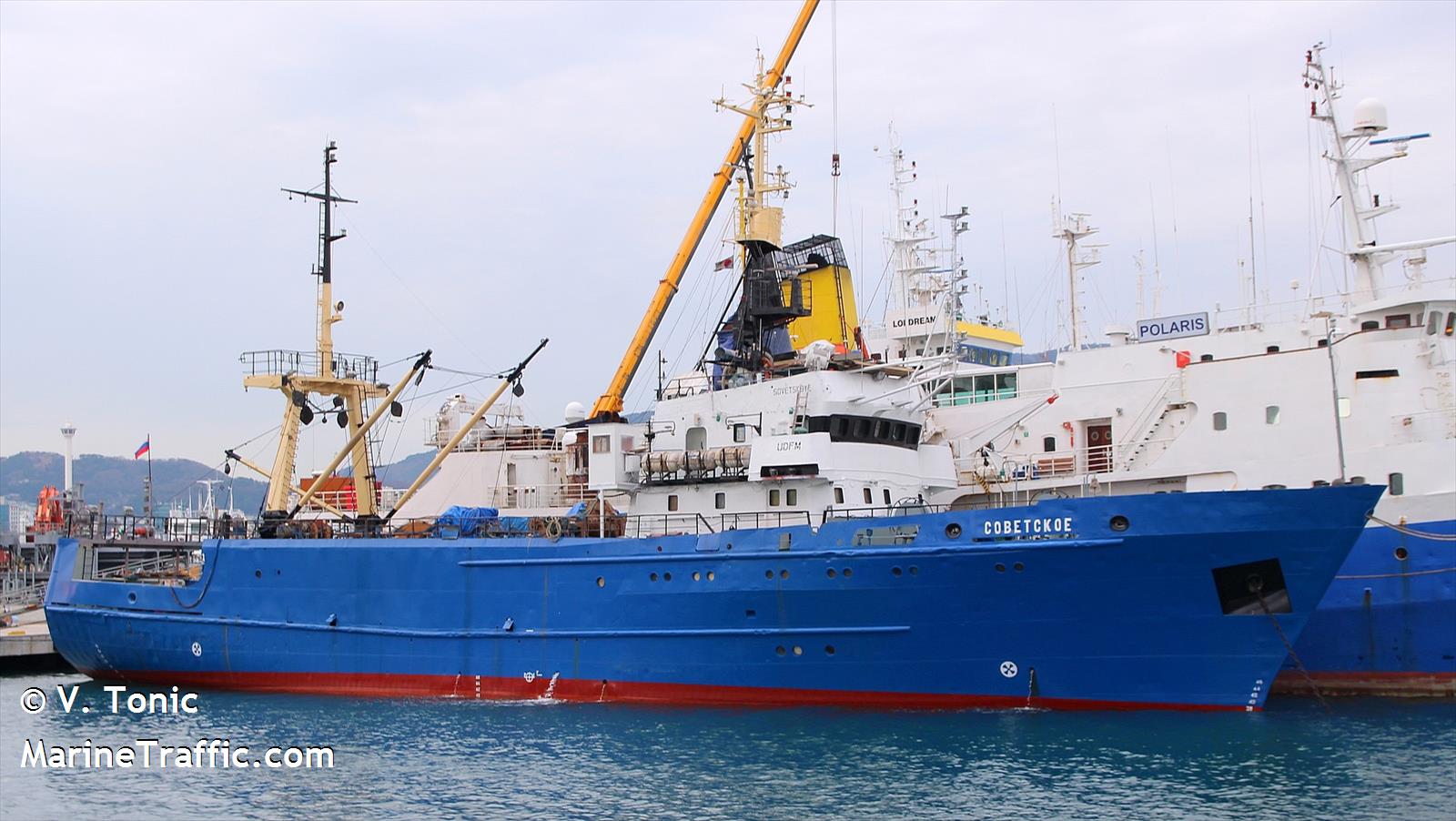 sovetskoe (Fishing Vessel) - IMO 8826852, MMSI 273899500, Call Sign UDFM under the flag of Russia