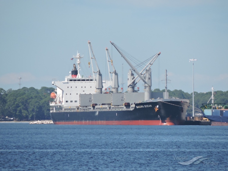 true mariner (Bulk Carrier) - IMO 9599822, MMSI 314556000, Call Sign 8PBC5 under the flag of Barbados