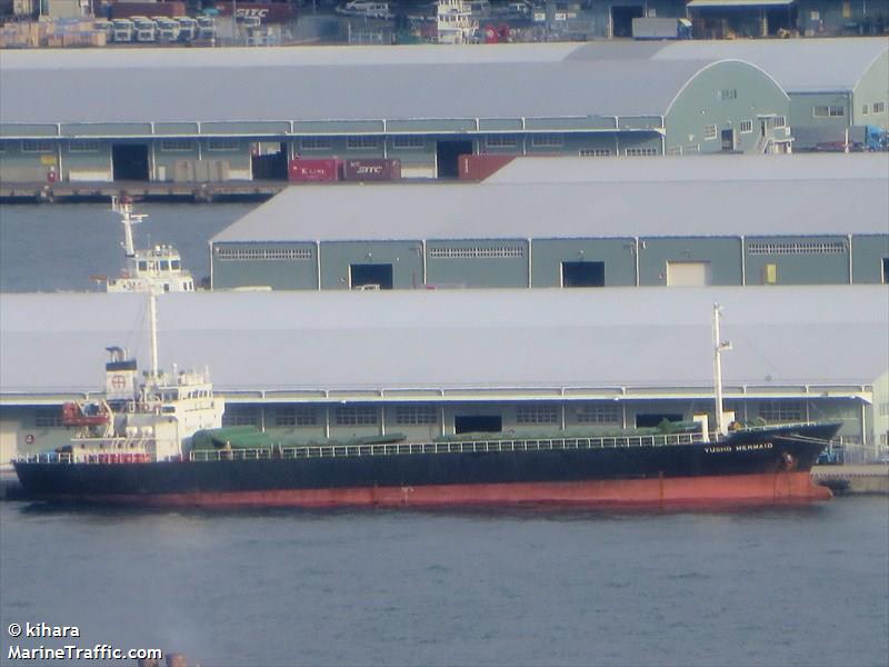 calamar (Passenger ship) - IMO , MMSI 353225000, Call Sign HP5295 under the flag of Panama
