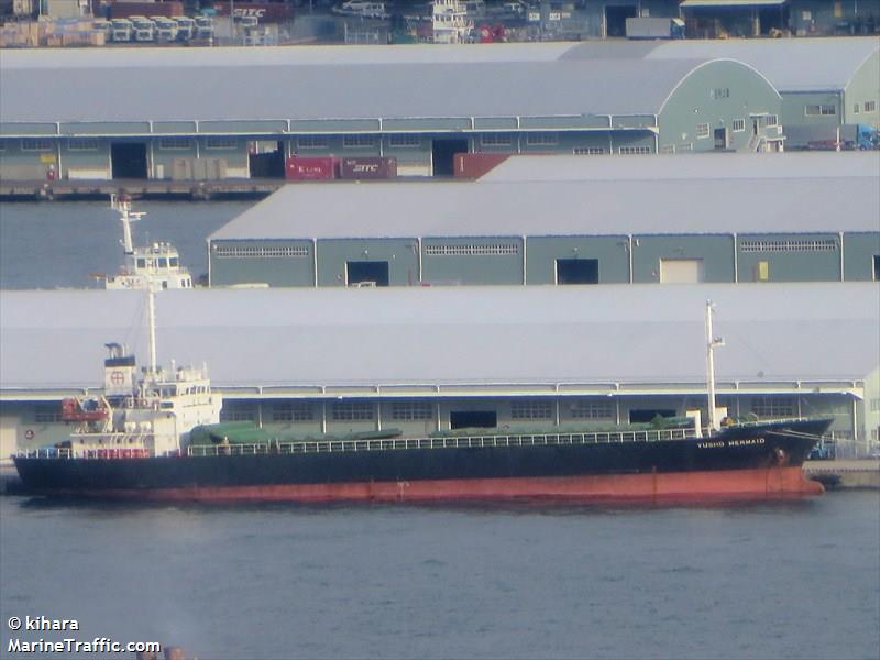 calamar (General Cargo Ship) - IMO , MMSI 353225000, Call Sign HP5295 under the flag of Panama