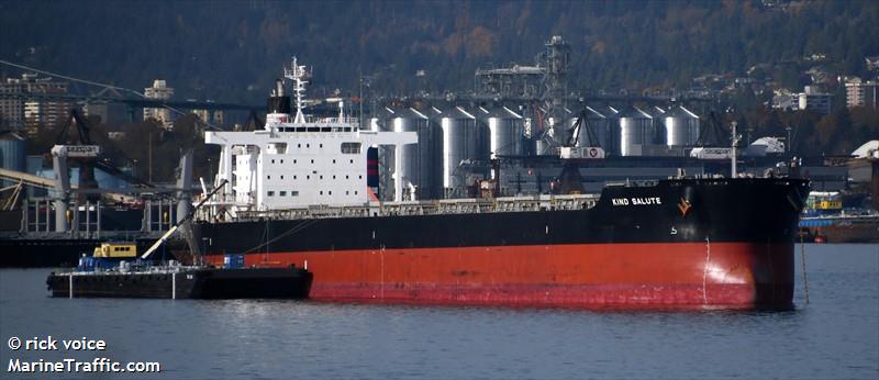 bei dou star (Bulk Carrier) - IMO 9469182, MMSI 356115000, Call Sign HPQN under the flag of Panama