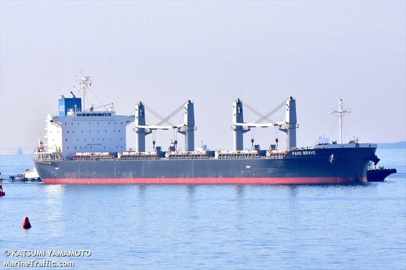 pavo brave (Bulk Carrier) - IMO 9894480, MMSI 371090000, Call Sign 3FRU8 under the flag of Panama