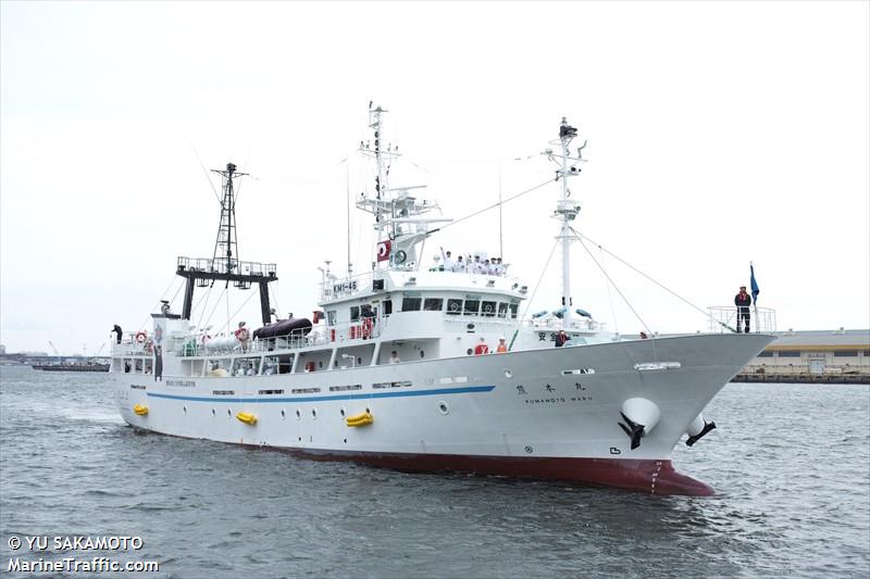 kumamoto maru (Fishing vessel) - IMO , MMSI 431582000, Call Sign 7KDZ under the flag of Japan