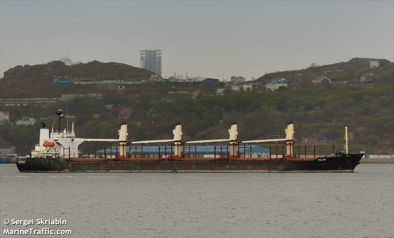 rui jin (Bulk Carrier) - IMO 8919104, MMSI 511181000, Call Sign T8A2141 under the flag of Palau